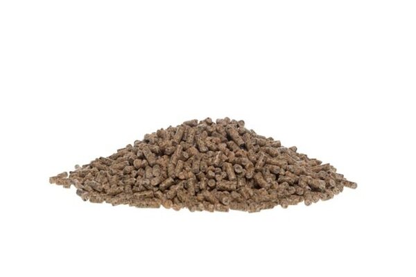 Hedric Legkorrel 20 Kg Hedric Legkorrel 20 Kg