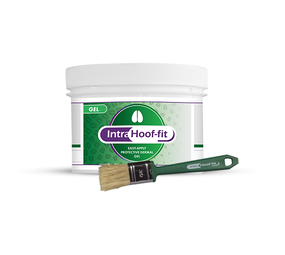 Intracare Hoof Fit Gel 330 ml Intracare Hoof Fit Gel 330 ml