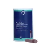 Excellent Ferro Bolus 24 stuks