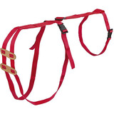 Prolaps tuig Prolaps tuig