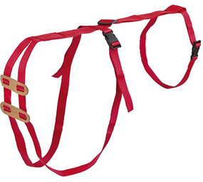 Prolaps tuig Prolaps tuig