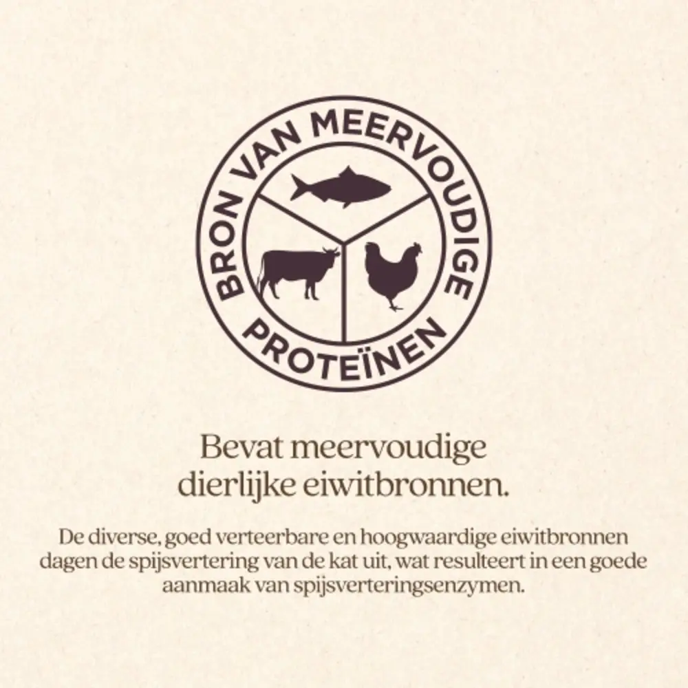 VITALstyle Kat Blaasgruis Kattenbrok VITALstyle Kat Blaasgruis Kattenbrok