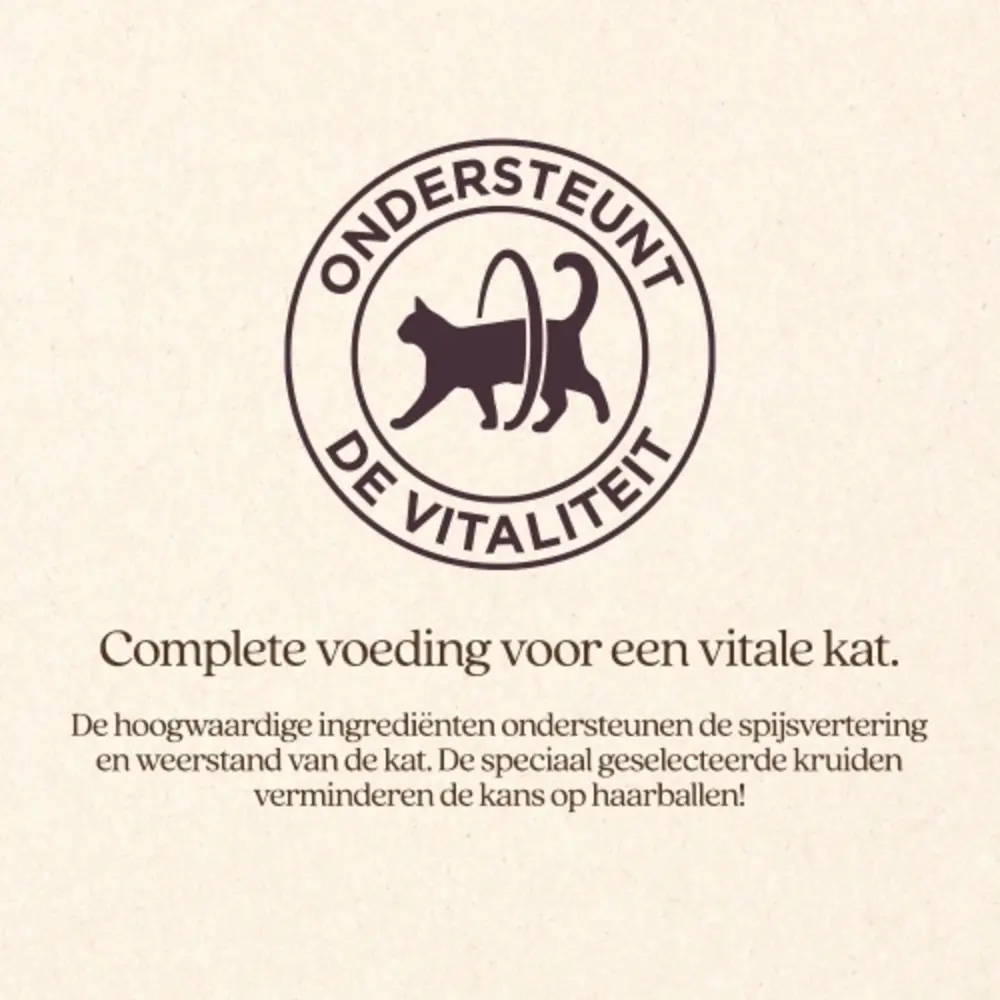 VITALstyle Kat Adult met Kip Natvoer VITALstyle Kat Adult met Kip Natvoer