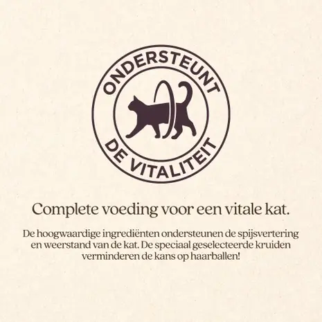 VITALstyle Kat Adult met Zalm Natvoer VITALstyle Kat Adult met Zalm Natvoer