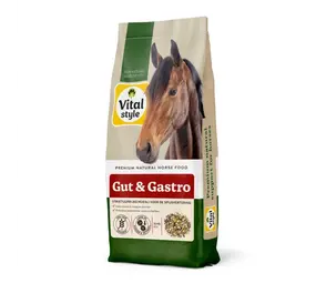 VITALstyle Muesli Gut & Gastro VITALstyle Muesli Gut & Gastro