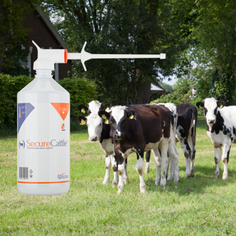 Signs SecureCattle Signs SecureCattle