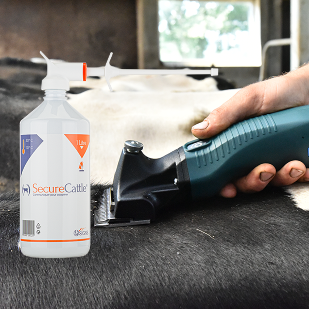 Signs SecureCattle Signs SecureCattle