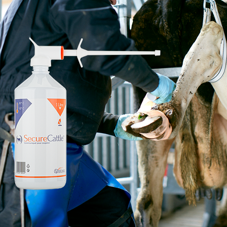 Signs SecureCattle Signs SecureCattle