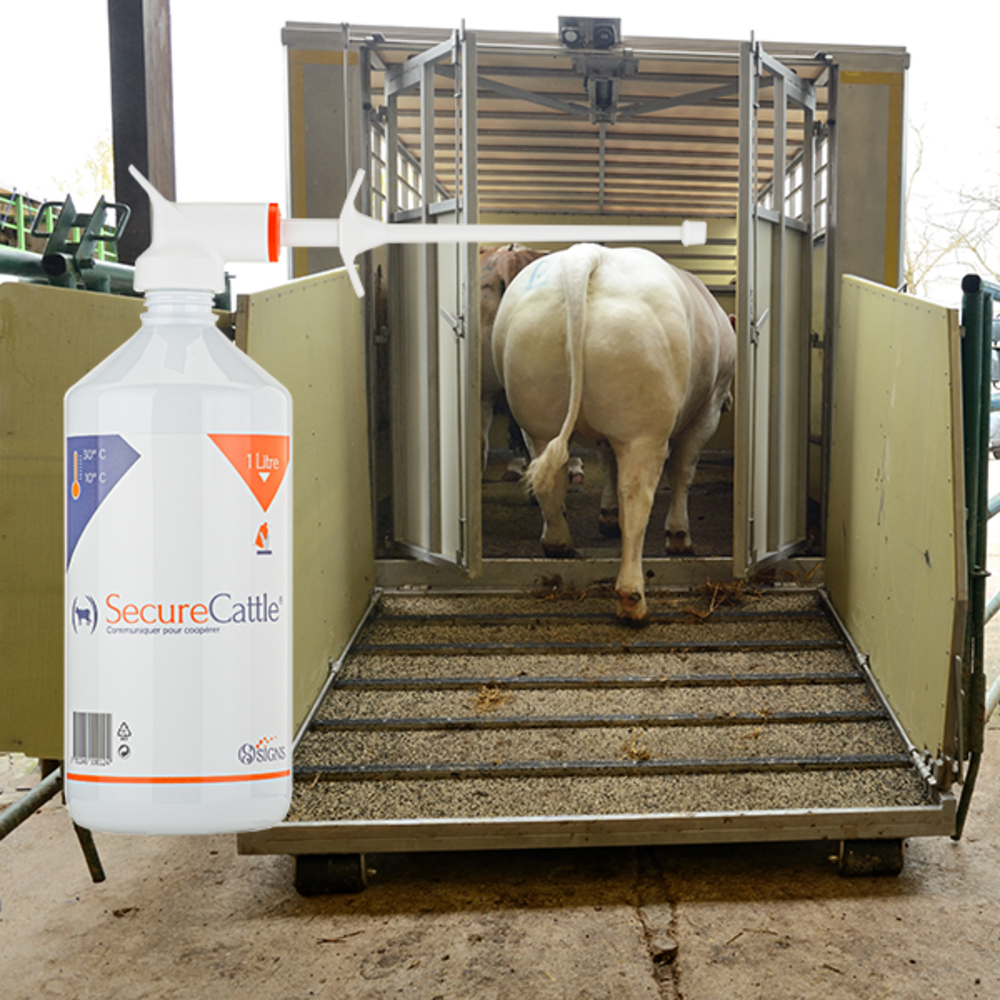 Signs SecureCattle Signs SecureCattle