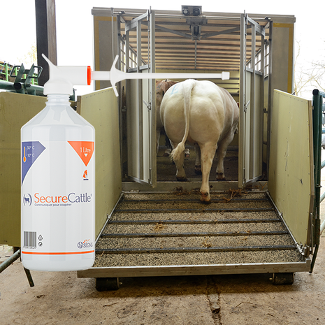 Signs SecureCattle Signs SecureCattle