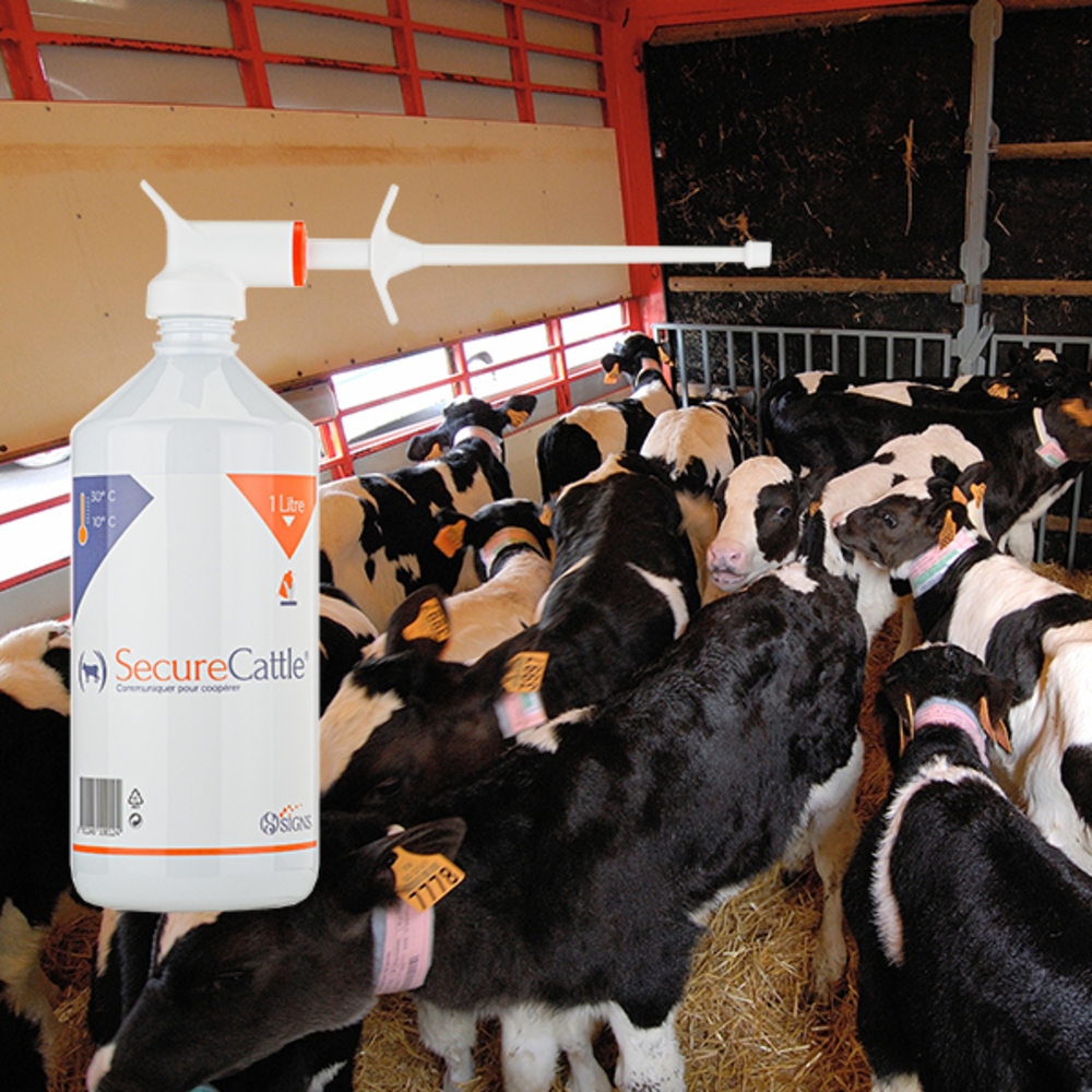 Signs SecureCattle Signs SecureCattle