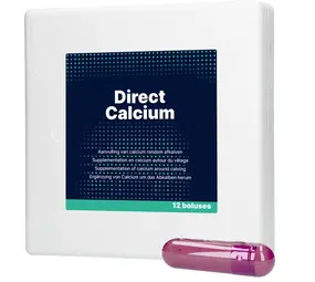 Excellent Direct Calcium Bolus 12 stuks Excellent Direct Calcium Bolus 12 stuks