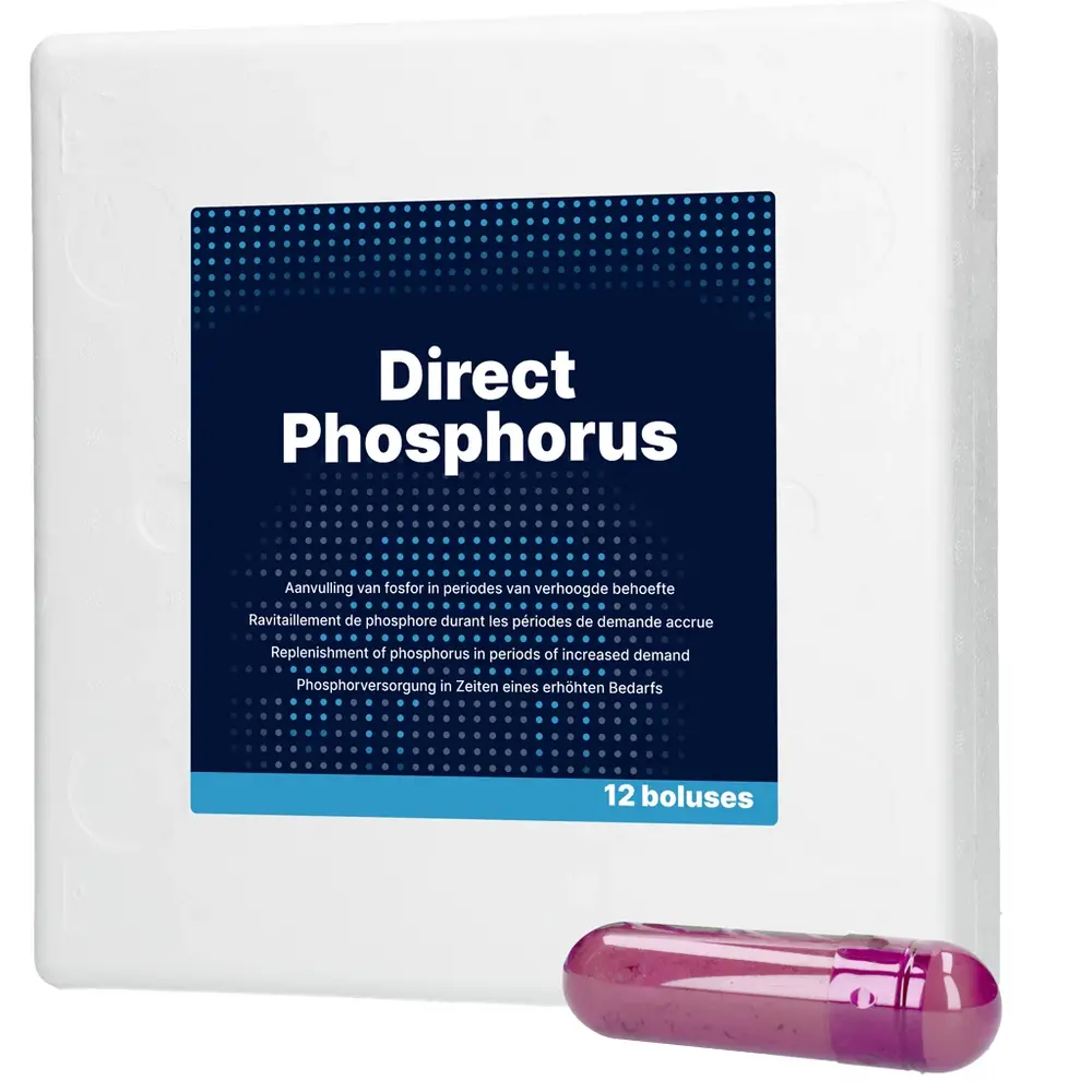 Excellent Direct Phosphorus Excellent Direct Phosphorus