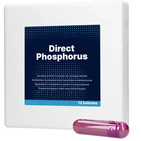 Excellent Direct Phosphorus Excellent Direct Phosphorus