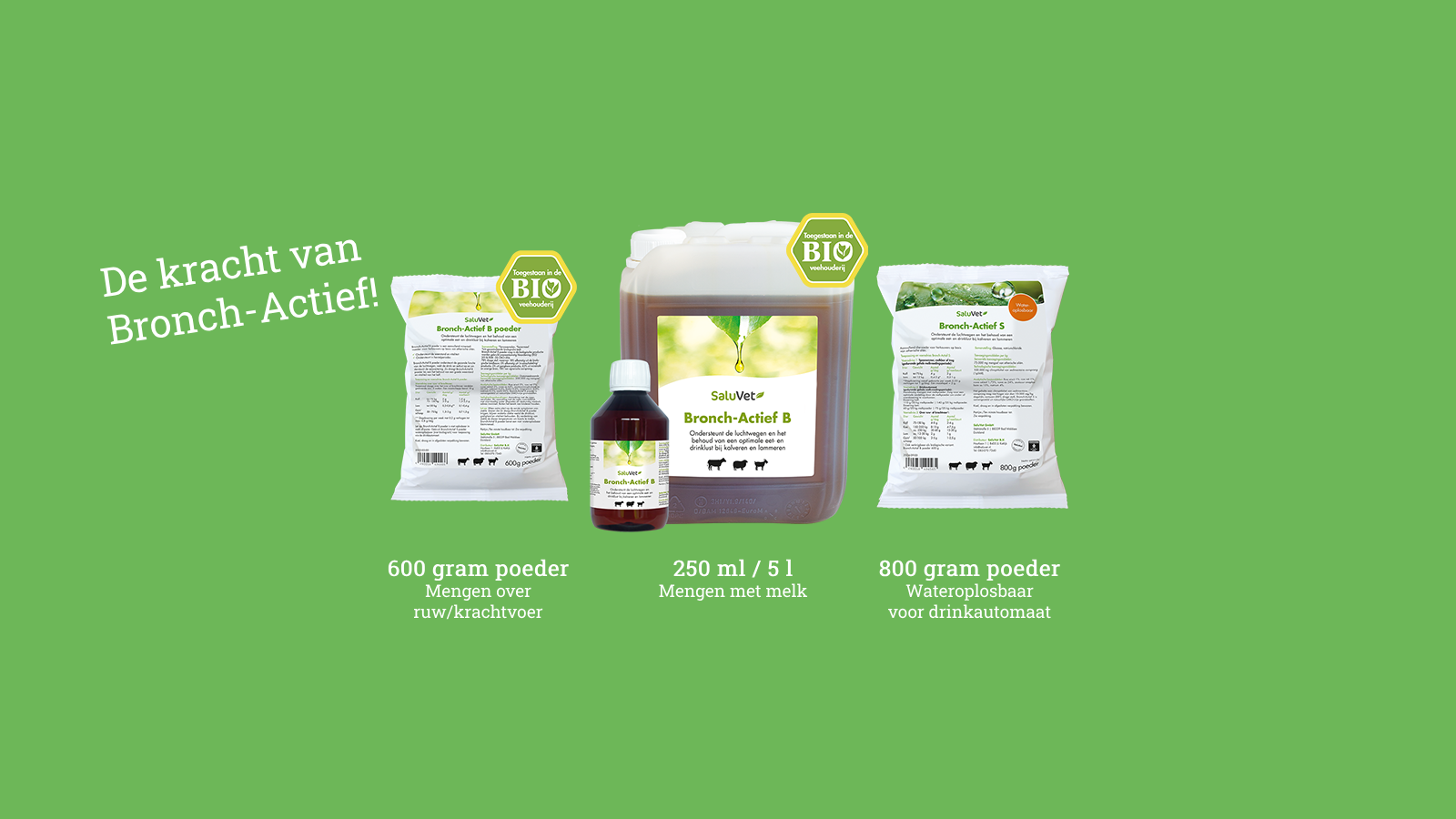 Bronch-Actief bij herkauwers