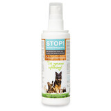 stop! Droogshampoo 125 ml