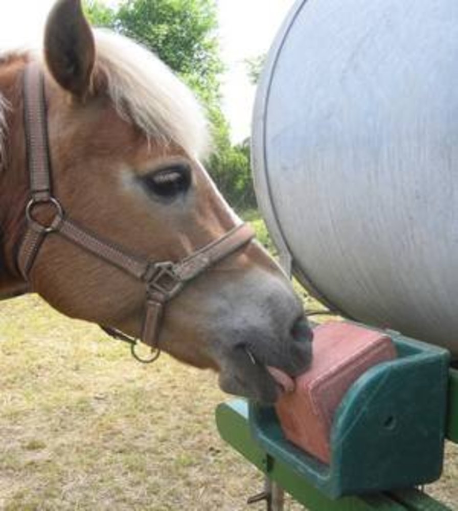 JFC Liksteenhouder JFC Liksteenhouder