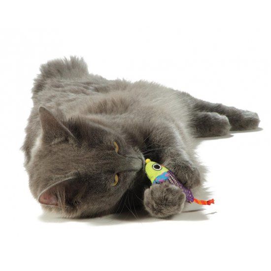 Heer Toegepast klinker Petstages Speelgoedmuis met Catnip voor Katten - Max&Luna
