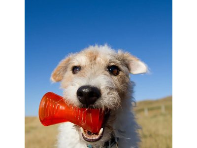 Bionic Bone Onverwoestbaar Kauwbot voor Honden