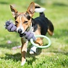 Beco Beco Hoop - Speeltouw voor pups met bijtring - Zacht, Flexibel & Milieuvriendelijk - Groen, Blauw of Roze in maat S/L Beco Beco Hoop - Speeltouw voor pups met bijtring - Zacht, Flexibel & Milieuvriendelijk - Groen, Blauw of Roze in maat S/L