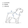 Puppia Puppia Hondenharnas - Verstelbaar Soft Vest in 6 Kleuren van XS tot XL Puppia Puppia Hondenharnas - Verstelbaar Soft Vest in 6 Kleuren van XS tot XL