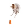 West Paw West Paw Tizzi Zogoflex - Speeltje voor actieve honden om ver te gooien - Blauw, Groen of Oranje in maat S of L West Paw West Paw Tizzi Zogoflex - Speeltje voor actieve honden om ver te gooien - Blauw, Groen of Oranje in maat S of L