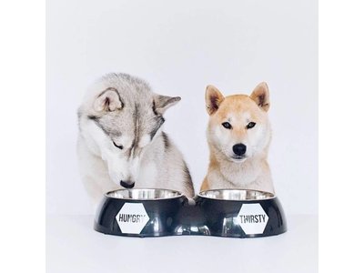 Hungry & Thirsty Dubbele Bakken voor Honden