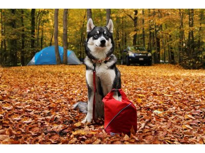 Kibble Carrier Hondenvoer en Snacks Tas