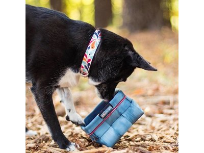 Waterbestendige en sterke Hondenhalsband - Kurgo Muck Collar Color Splash - In Small, Medium en Large