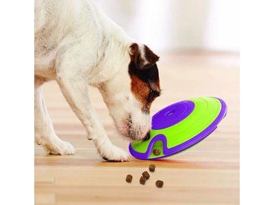 Treat Maze Hondenspelletje voor Snacks