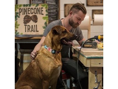 Kleurrijke Honden Halsband met Inheemse Patronen en Felle Stijlvolle Kleuren - Wolfgang FurTrader - in S/M/L