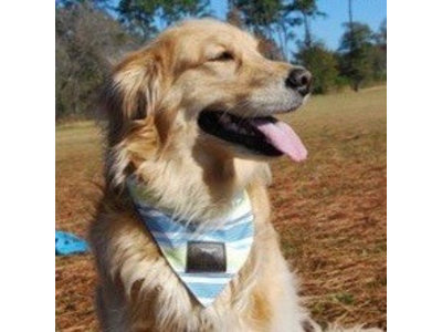 Stoere Bandana voor Honden met 2 Designs