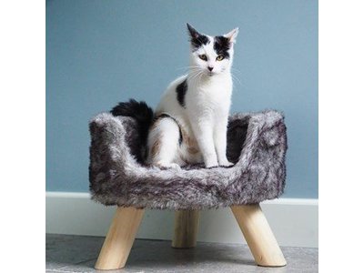 Luxe Kattenmand op Pootjes