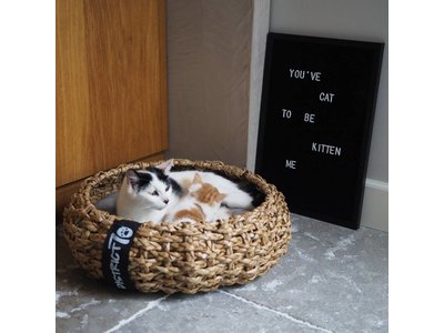 Kattenmand van Luxe, Duurzaam Hoogwaardig Riet met zacht uitneembaar kussentje- District 70 - Maten S/M/L