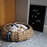 District 70 District 70 COCOON - Kattenmand van Luxe, Duurzaam Hoogwaardig Riet met zacht uitneembaar kussentje - Maten S/M/L District 70 District 70 COCOON - Kattenmand van Luxe, Duurzaam Hoogwaardig Riet met zacht uitneembaar kussentje - Maten S/M/L