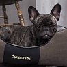 Scruffs Hondenmand Zacht en Stevig, Anti-Slip en Wasbaar - Scruffs Chester Box Bed - in Grijs en Bruin in maat S tot XL Scruffs Hondenmand Zacht en Stevig, Anti-Slip en Wasbaar - Scruffs Chester Box Bed - in Grijs en Bruin in maat S tot XL