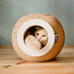 Krab Bal van karton voor Katten