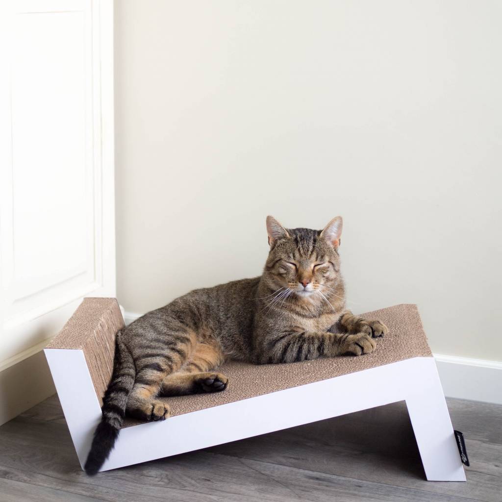 kroeg Open Ineenstorting Krabplank voor Katten - Max&Luna