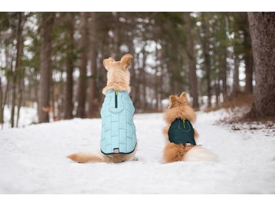Thermo Warme Jas voor Honden - Reversible, Waterafstotend & Wasbaar - Kurgo - in 4 kleuren in maten XS tot XL
