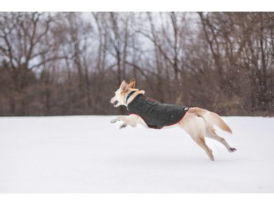 Thermo Warme Jas voor Honden