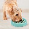 Outward Hound Outward Hound Fun Feeder - Anti Schrok Hondenvoerbak - 6 kleuren en 3 maten - door Dierenartsen aanbevolen Slow Bowl Outward Hound Outward Hound Fun Feeder - Anti Schrok Hondenvoerbak - 6 kleuren en 3 maten - door Dierenartsen aanbevolen Slow Bowl