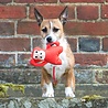 Beco Hondenspeelgoed van Duurzaam 100% Gerecycled Materiaal - Beco Pets Pluche Knuffel Aap - Medium - 21 cm Beco Hondenspeelgoed van Duurzaam 100% Gerecycled Materiaal - Beco Pets Pluche Knuffel Aap - Medium - 21 cm