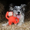 Beco Hondenspeelgoed van Duurzaam 100% Gerecycled Materiaal - Beco Pets Pluche Knuffel Aap - Medium - 21 cm Beco Hondenspeelgoed van Duurzaam 100% Gerecycled Materiaal - Beco Pets Pluche Knuffel Aap - Medium - 21 cm
