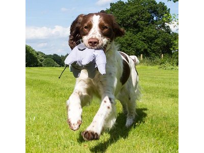 Pluche Speelgoed Olifant voor Honden van gerecycled materiaal - Beco Pets - Duurzaam en Sterk in S/M/L