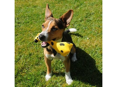 Honden Knuffel Giraffe - Duurtzaam, Extra Sterk en van Pluche - Beco Pets - S/M/L