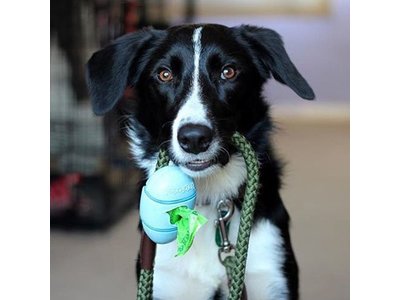 Beco Pocket - Milieuvriendelijke Poepzakjeshouder - Te bevestigen aan riem, inclusief 15 Hondenpoepzakjes - Beco Pets - in Groen, Naturel, Blauw en Roze