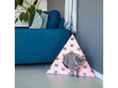 Kattenhuis in Lederlook met kussentje