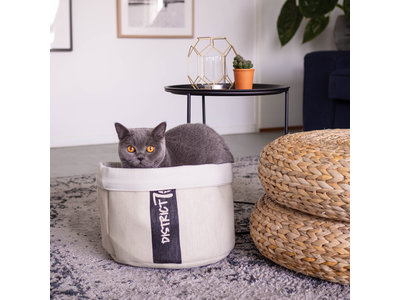 Knusse Kattenmand met kussentje