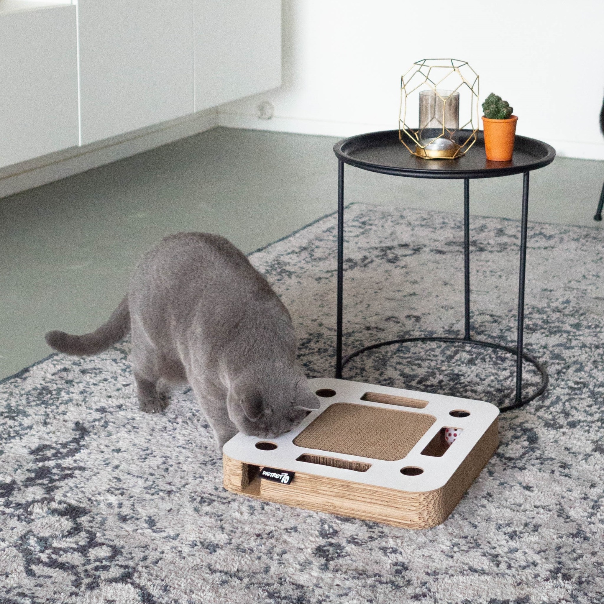 Pessimistisch radium Fascinerend Interactief Krabspeelgoed van Karton voor katten - Max&Luna