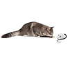PetSafe PetSafe® RoloRat - Automatisch Rollende Speelgoedmuis - Interactief kattenspeelgoed - Schakelt Automatisch uit PetSafe PetSafe® RoloRat - Automatisch Rollende Speelgoedmuis - Interactief kattenspeelgoed - Schakelt Automatisch uit